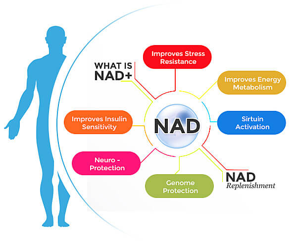 NAD+